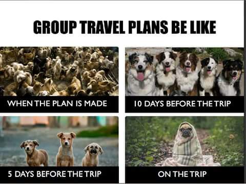 Group travell plan