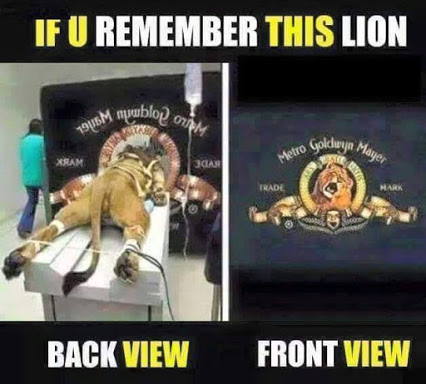 MGM Lionmaking