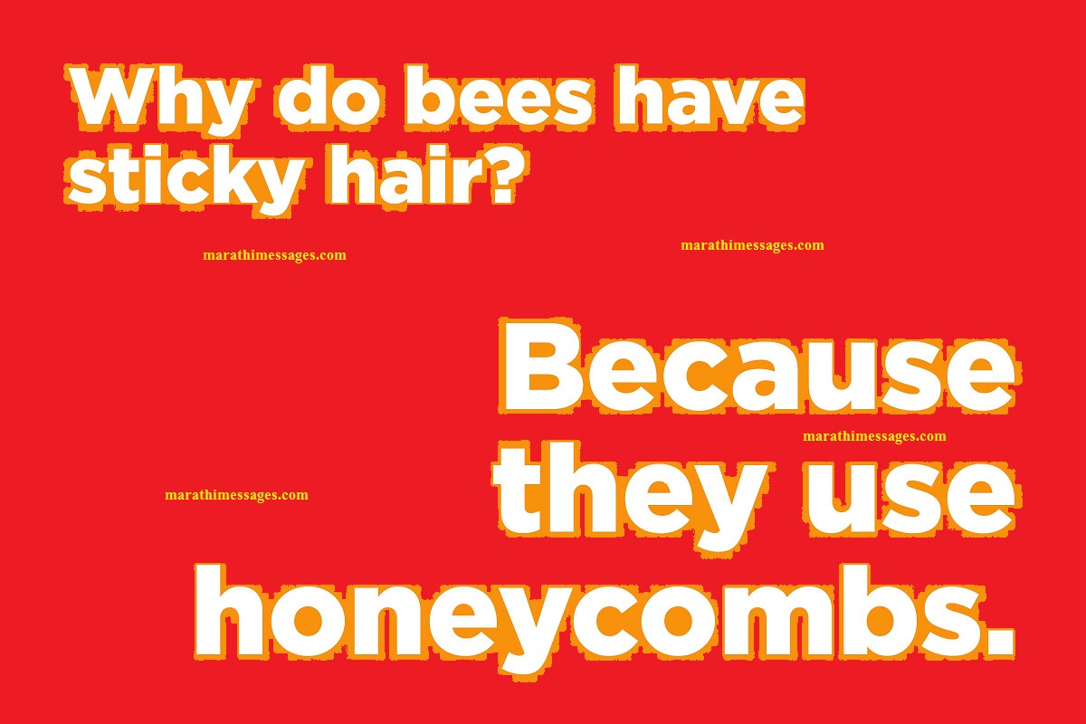 Why bees have sticky